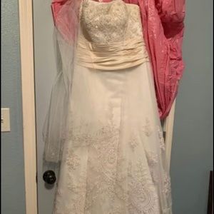 Casablanca Wedding dress and Veil